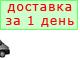 �������� 1 ����