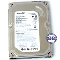 Ƹ����� ���� HDD Seagate 250Gb ST3250310AS 7200rpm 8�� SATA-II 3,5 �����