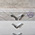 Стол туалетный с комодом и зеркалом Амели Моби цвет шёлковый камень/бетон чикаго беж