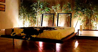 Контрастная спальня с мотивами джунглей