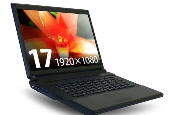 PC-Koubou AEX 17L2-16GXR: мощный ноутбук с гибридной системой хранения данных.