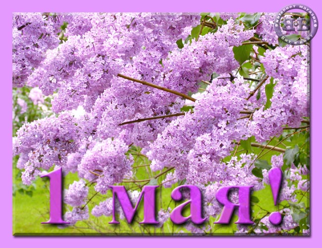 1 Мая! 1 Мая!