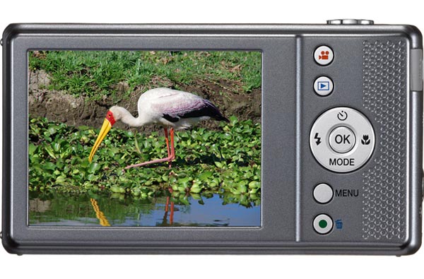 Pentax Optio VS20: компактная фотокамера с 20-кратным трансфокатором.