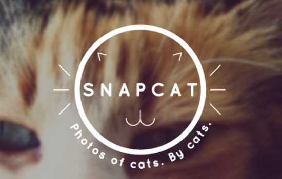 Snapcat - Google выпустил Android-приложение для котов.