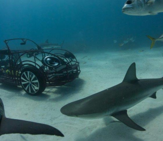 VW Beetle - создан кабриолет для прогулок по морскому дну в компании акул.