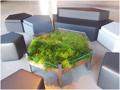 Живые столы от компании Habitat Horticulture