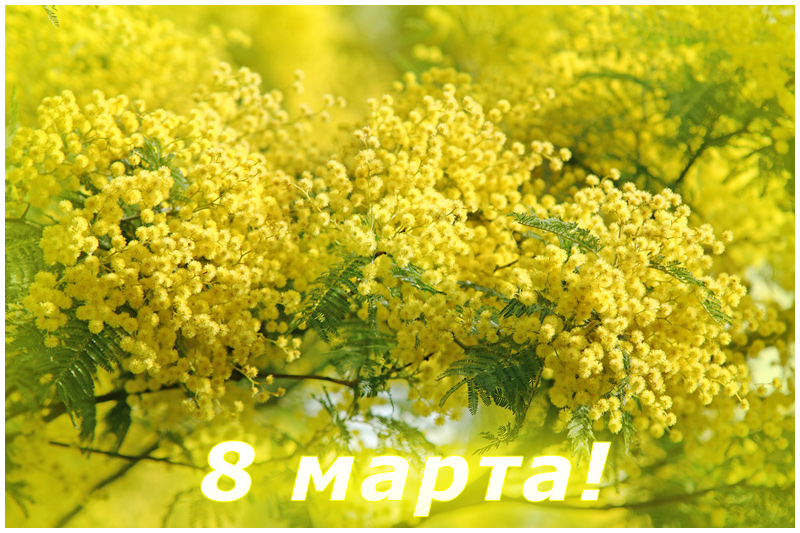 С праздником Весны, дорогие наши Дамы! С праздником Весны, дорогие наши Дамы!