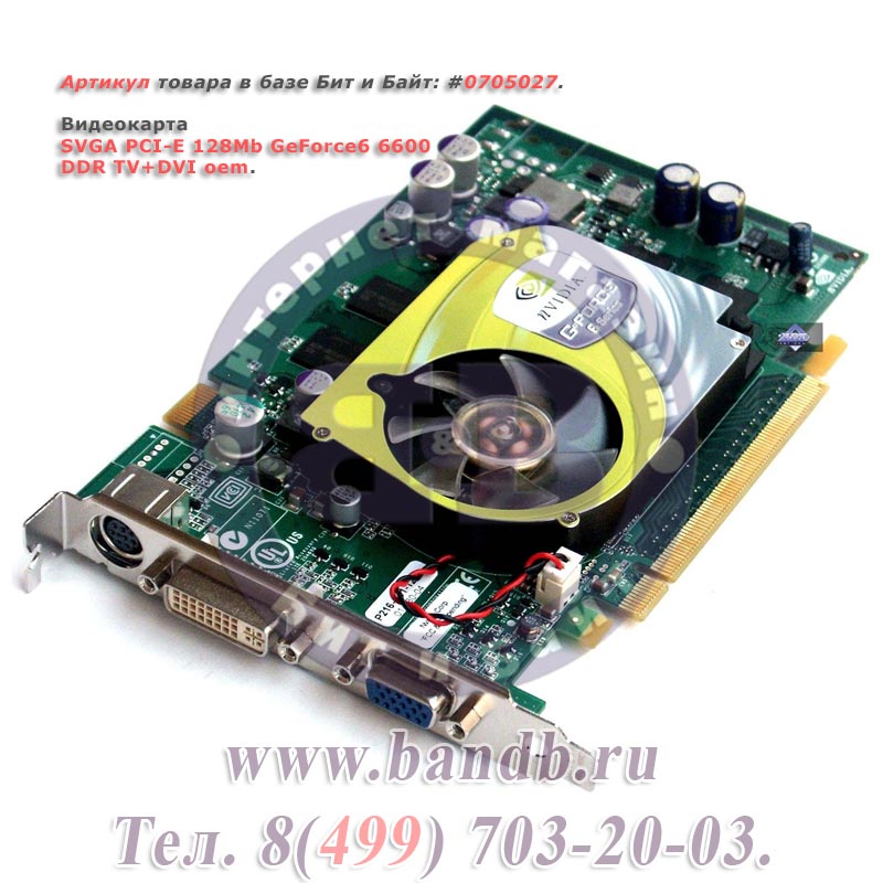 SVGA PCI-E 128Mb GeForce6 6600  DDR TV+DVI oem Картинка № 1