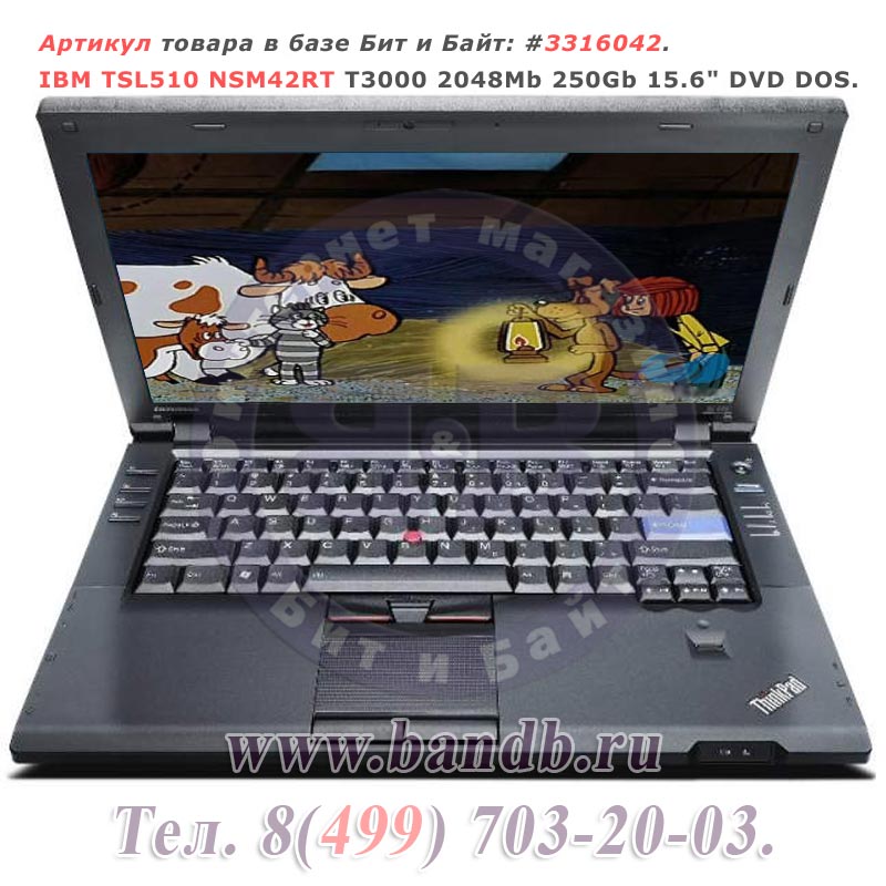 IBM TSL510 NSM42RT T3000 2048Mb 250Gb 15.6" DVD DOS Картинка № 1
