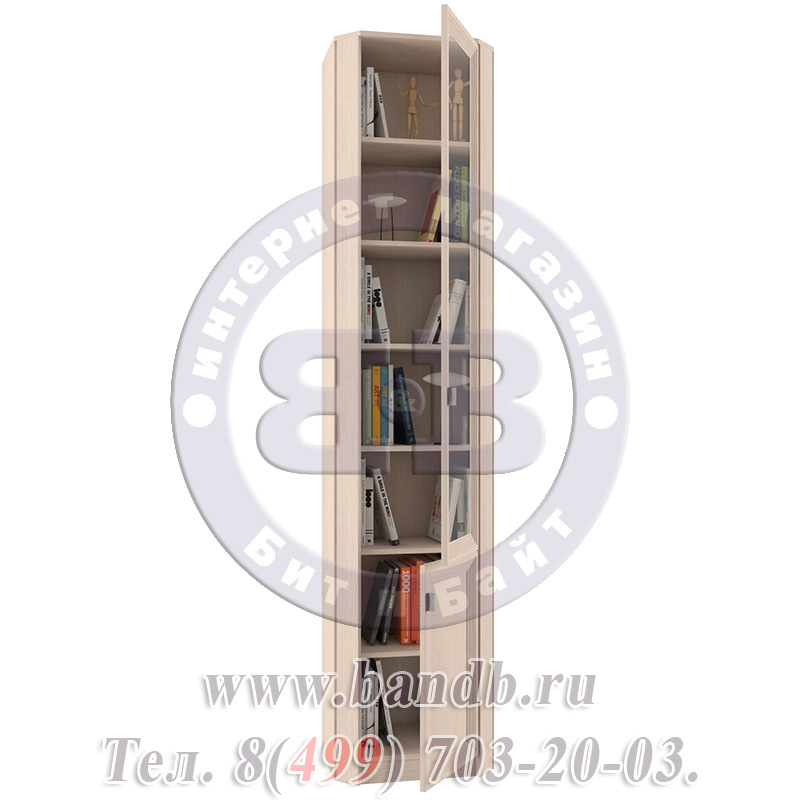 Библиотека Олимп В-20 дверь комбинированная шкаф угловой, цвет дуб Картинка № 6