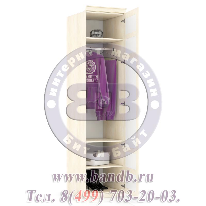 Александрия ЛД-625-040М+001 Шкаф одностворчатый с глухой дверью Картинка № 2