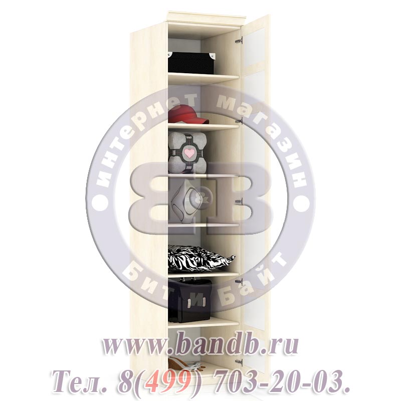 Александрия ЛД-625-040М+001 Шкаф одностворчатый с глухой дверью Картинка № 3