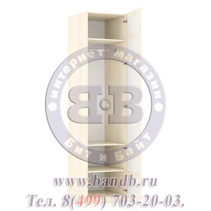 Александрия ЛД-625-040М+001 Шкаф одностворчатый с глухой дверью Картинка № 8
