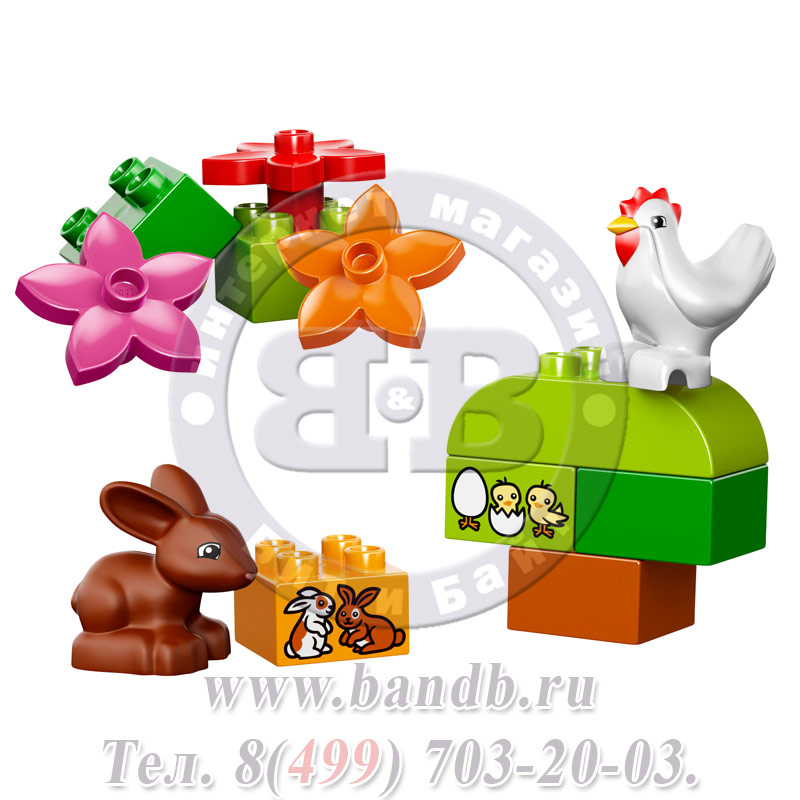 Конструктор Lego Duplo 10571 Лучшие друзья: курочка и кролик Картинка № 4