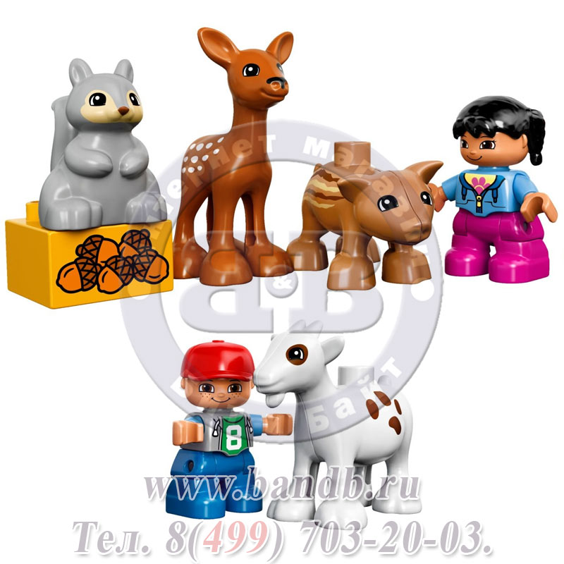 Lego Duplo 10582 Лесные животные Картинка № 2