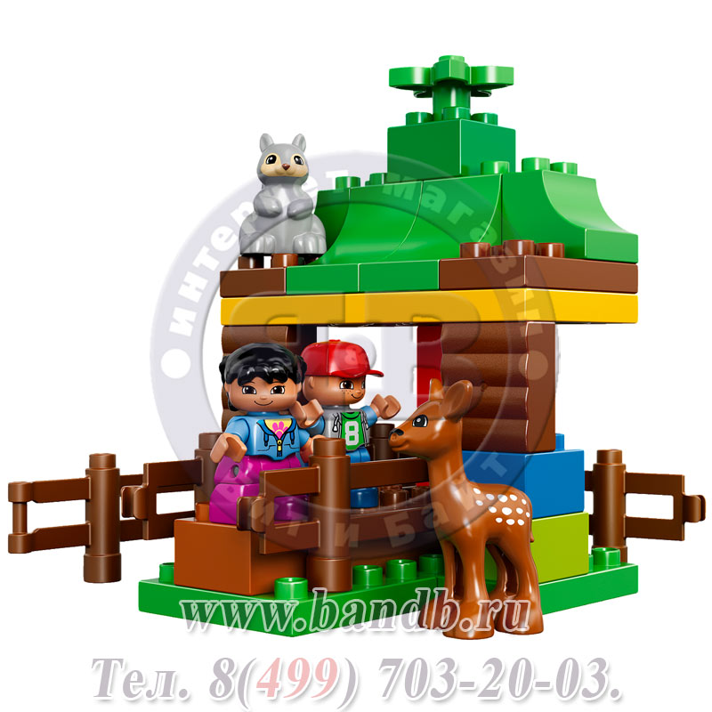 Lego Duplo 10582 Лесные животные Картинка № 3