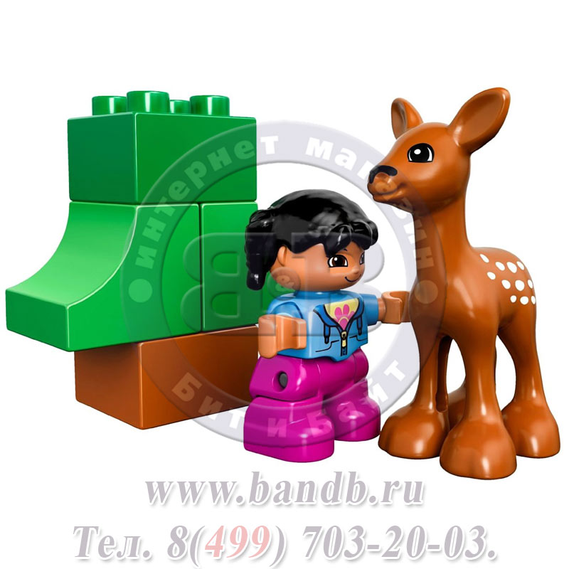 Lego Duplo 10582 Лесные животные Картинка № 4
