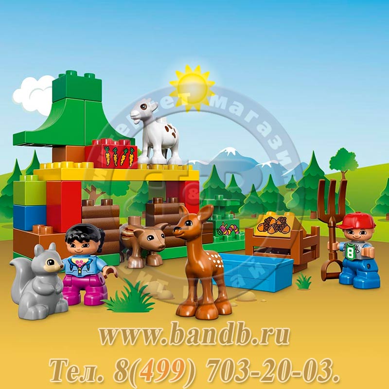 Lego Duplo 10582 Лесные животные Картинка № 7