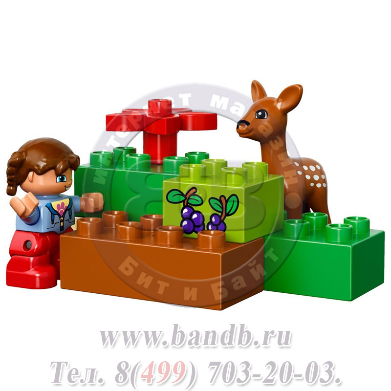 Lego Duplo 10584 Лесной заповедник Картинка № 4