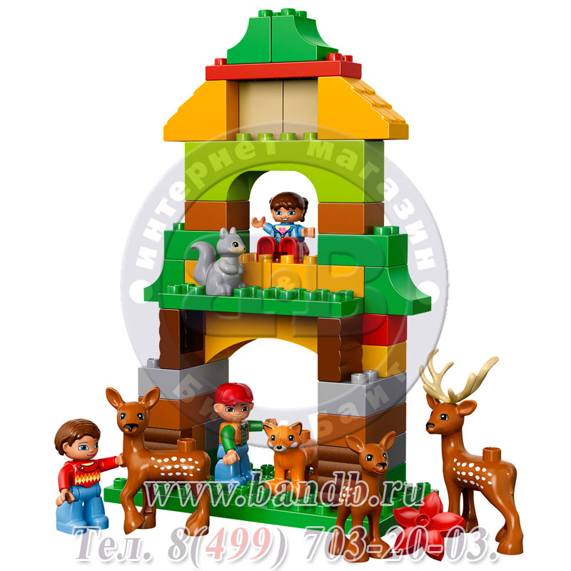 Lego Duplo 10584 Лесной заповедник Картинка № 6