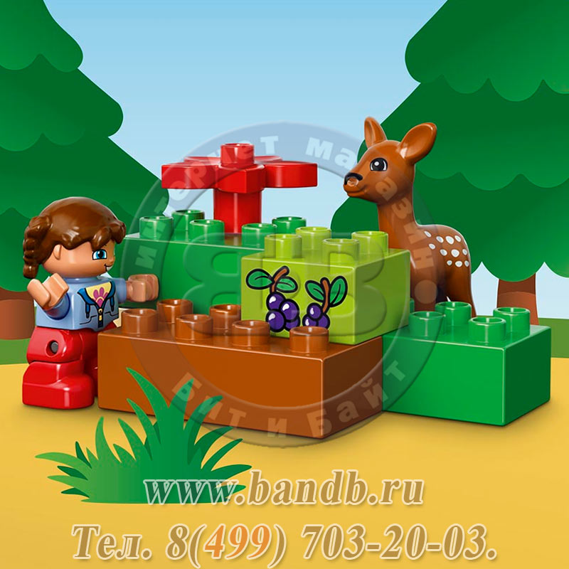 Lego Duplo 10584 Лесной заповедник Картинка № 11