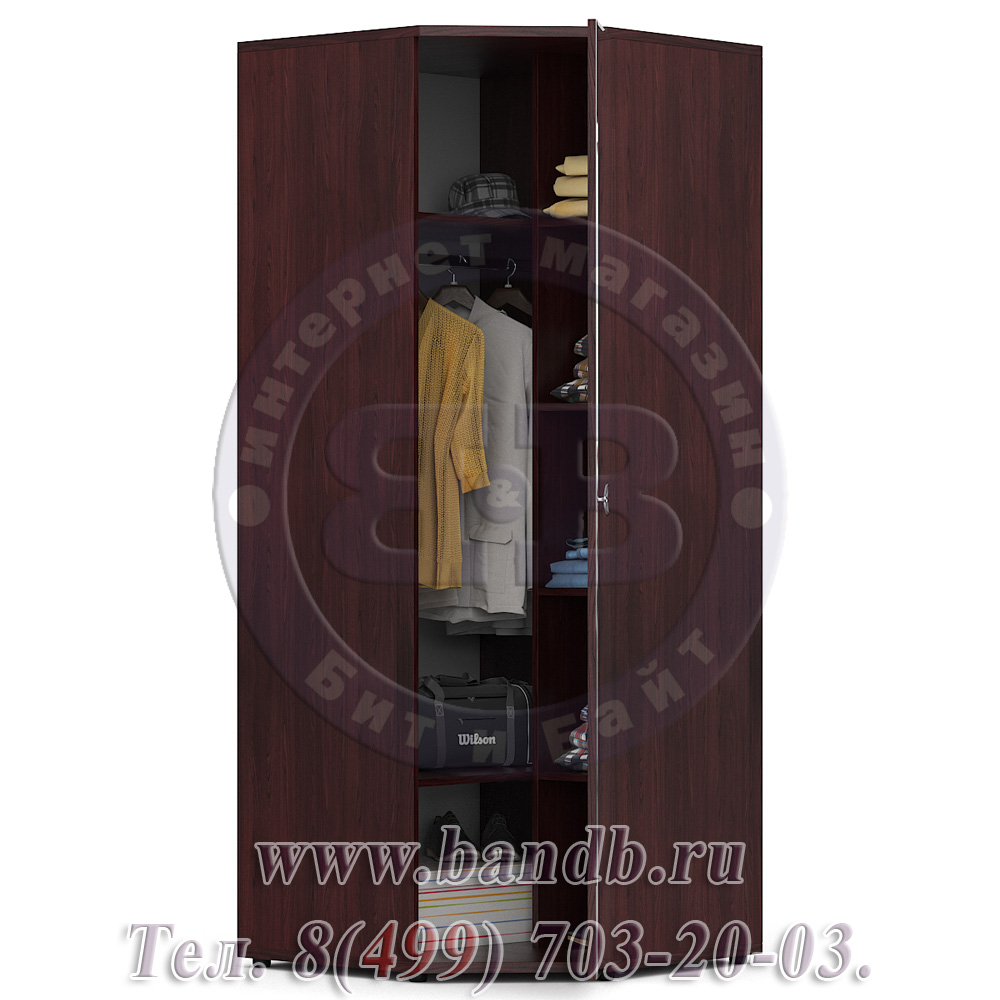 Делия ЛД-645-040ЗЕРК Шкаф угловой 45 зеркальная дверь, цвет сосна шоколад/сосна шоколад Картинка № 2