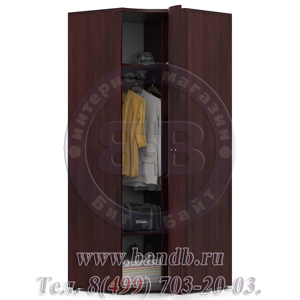 Делия ЛД-645-050 Шкаф угловой с гнутой дверью, цвет сосна шоколад Картинка № 2
