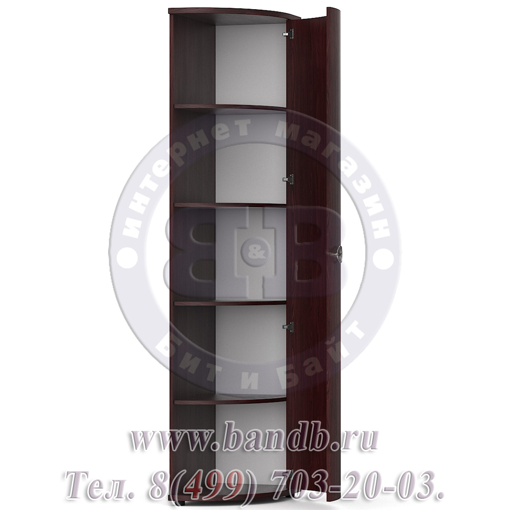 Делия ЛД-645-070 Шкаф-окончание с гнутой дверью правый, цвет сосна шоколад Картинка № 3
