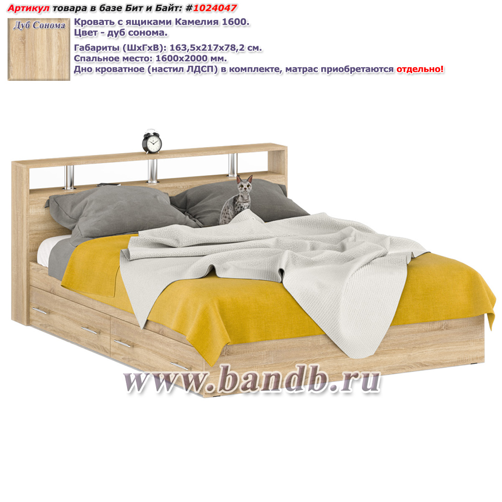 Кровать с ящиками Камелия 1600 цвет дуб сонома Картинка № 1