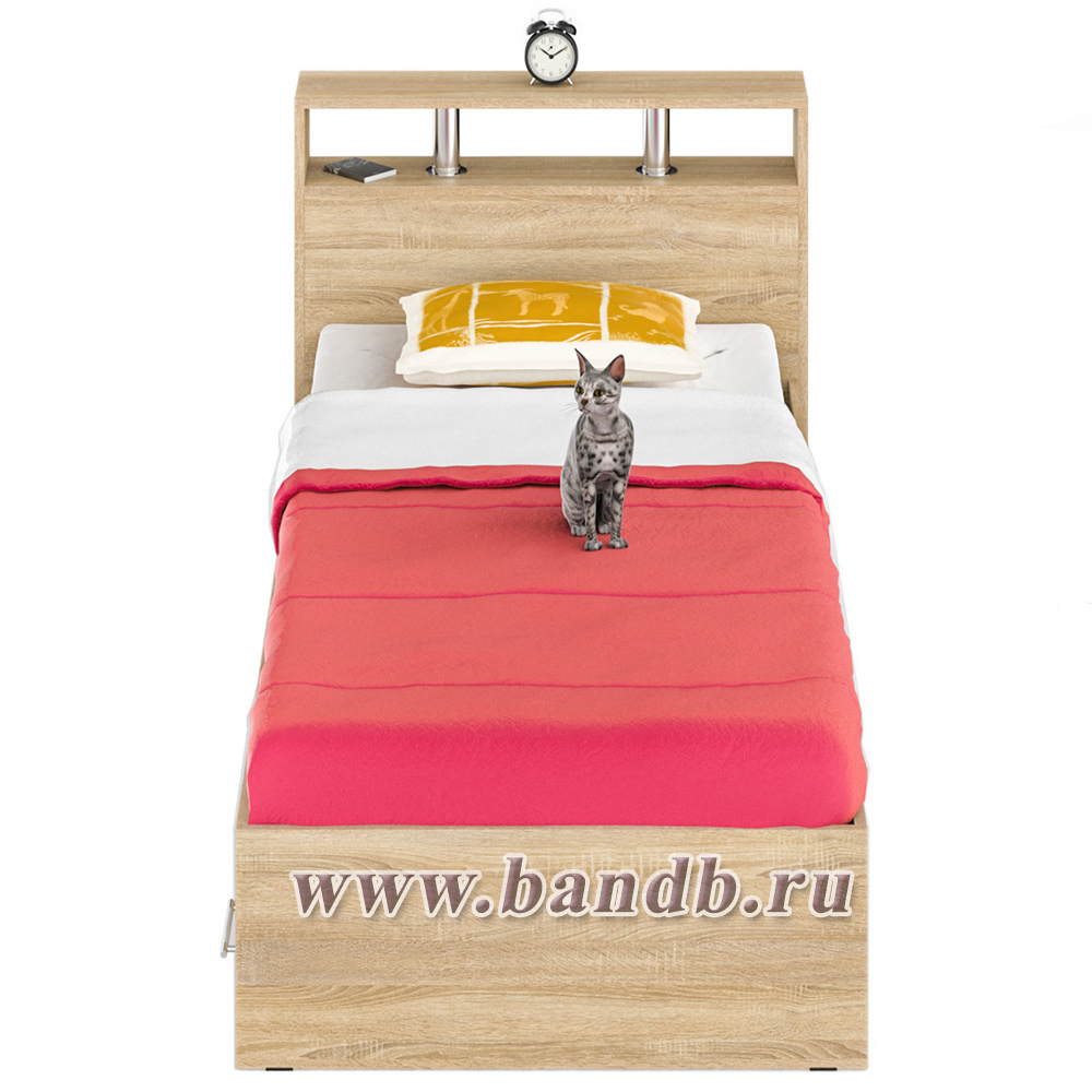 Кровать с ящиками Камелия 900 цвет дуб сонома Картинка № 3