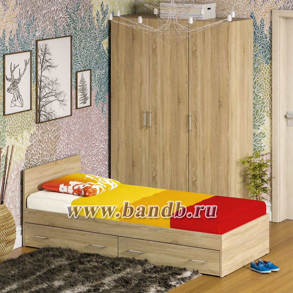 Спальный гарнитур № 1 Стандарт с кроватью 900 с ящиками цвет дуб сонома Картинка № 5
