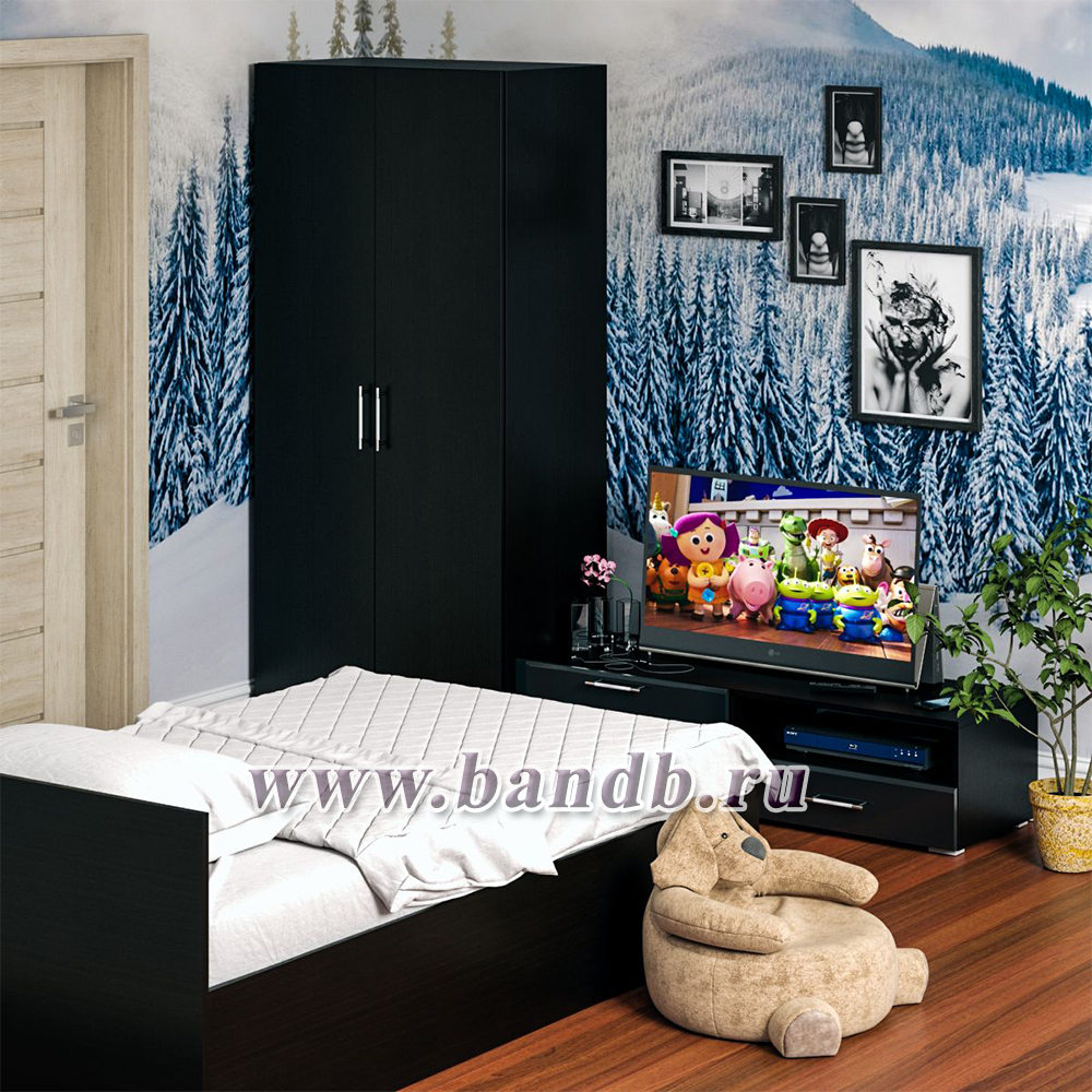 Спальня Стандарт № 3 с кроватью 1200 цвет венге/фасады ТВ тумбы МДФ чёрный глянец Картинка № 5