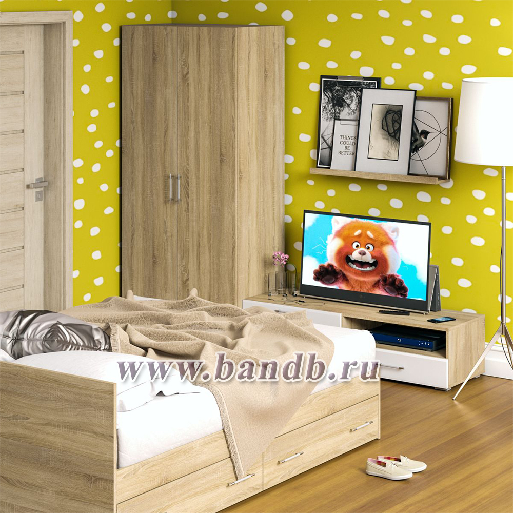 Спальня Стандарт № 3 с кроватью 1600 с ящиками цвет дуб сонома/фасады ТВ тумбы МДФ белый глянец Картинка № 5