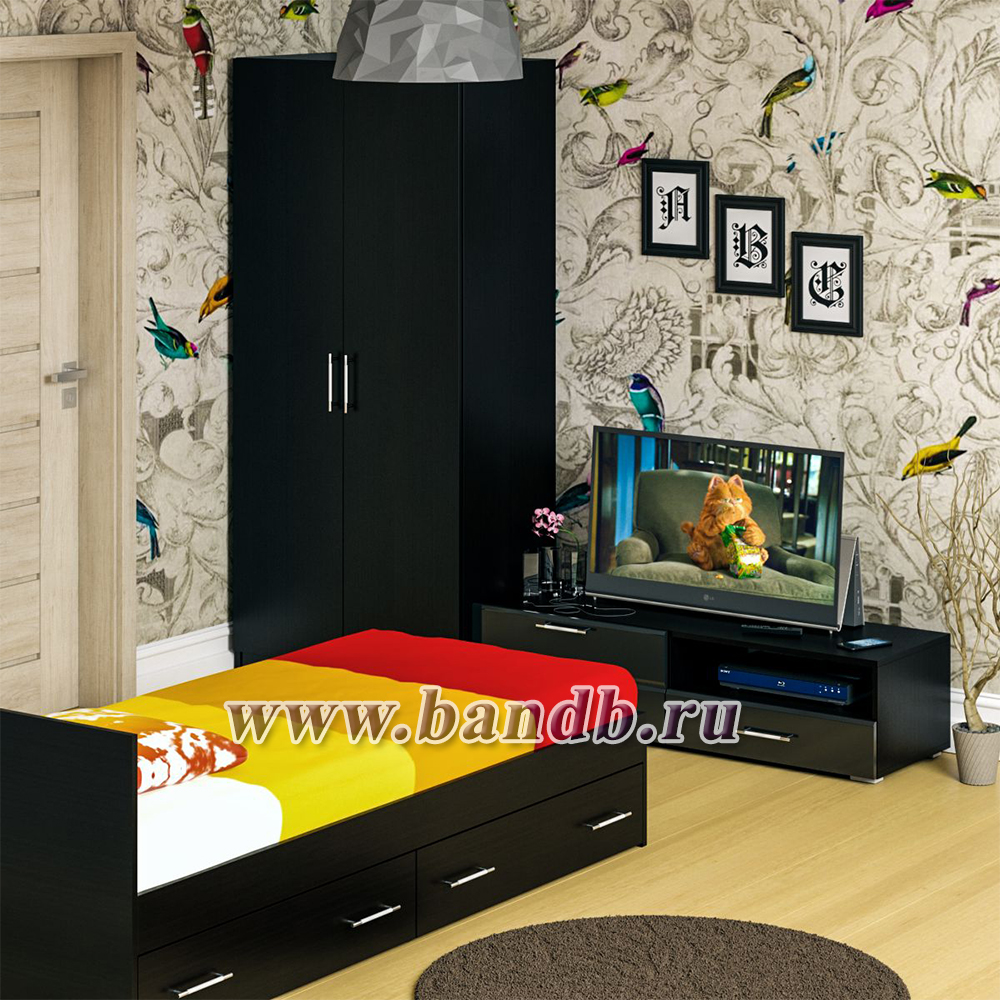 Спальня Стандарт № 3 с кроватью 900 с ящиками цвет венге/фасады ТВ тумбы МДФ чёрный глянец Картинка № 5