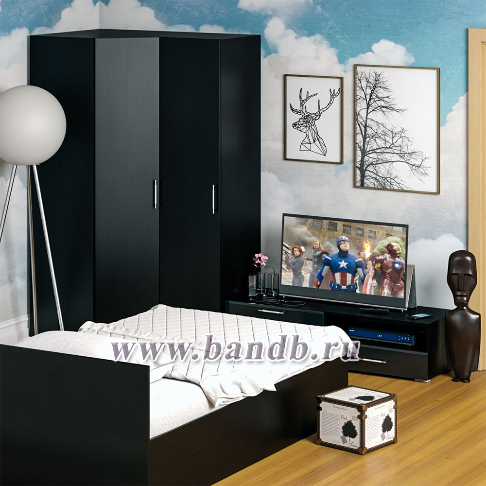 Мебель для спальни Стандарт № 4 с кроватью 1200 цвет венге/фасады ТВ тумбы МДФ чёрный глянец Картинка № 5