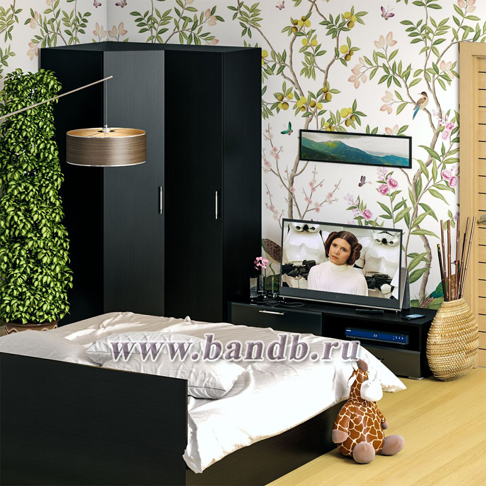 Мебель для спальни Стандарт № 4 с кроватью 1800 цвет венге/фасады ТВ тумбы МДФ чёрный глянец Картинка № 5