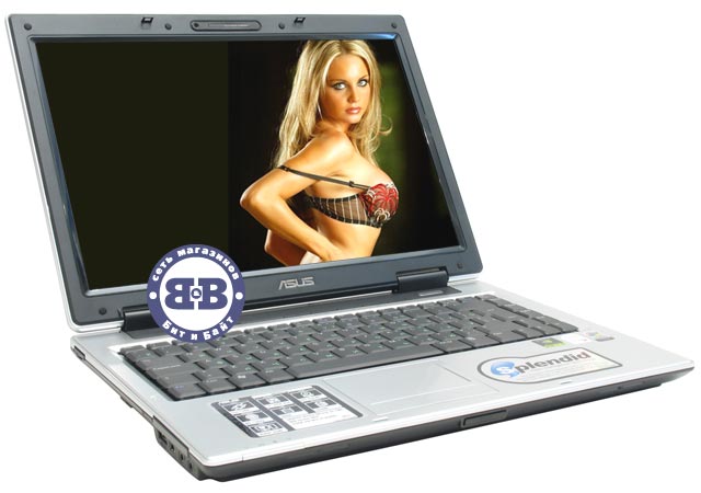 Ноутбук ASUS A8Jn T2050 / 512Mb / 80Gb / DVD±RW / GeForce 7300 128Mb / 14 дюймов Картинка № 1