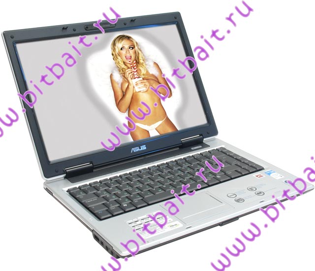 Ноутбук ASUS A8Jr T2350 / 512Mb / 80Gb / DVD±RW / ATI X2300 128Mb / Wi-Fi / 14 дюймов / WVistaHB Картинка № 1