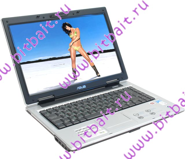 Ноутбук ASUS A8Jr T2450 / 1024Mb / 120Gb / DVD±RW / ATI X2300 128Mb / Wi-Fi / 14 дюймов / WVistaHP Картинка № 1