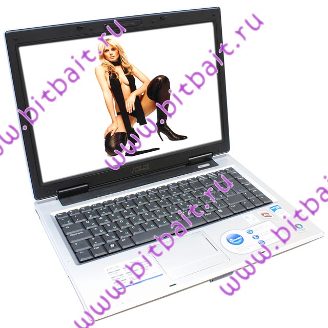 Ноутбук ASUS A8Sr T5250 / 1024Mb / 120Gb / DVD±RW / ATI HD2400 128Mb / Wi-Fi / 14 дюймов / WVistaHP Картинка № 1