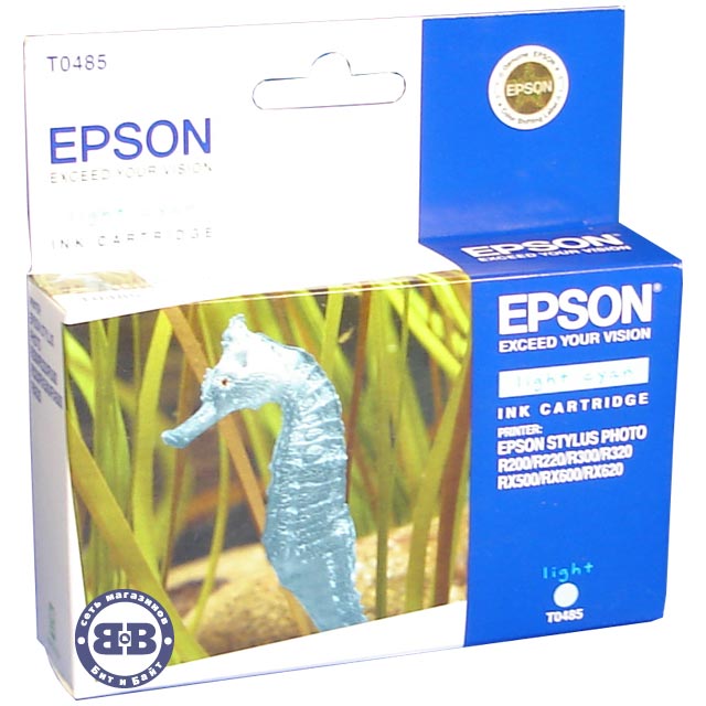 Светло-голубой картридж для Epson R200, R220, R300, R300ME, R320, R340, RX500, RX600, RX620, RX640 C13T048540 T0485 Картинка № 1