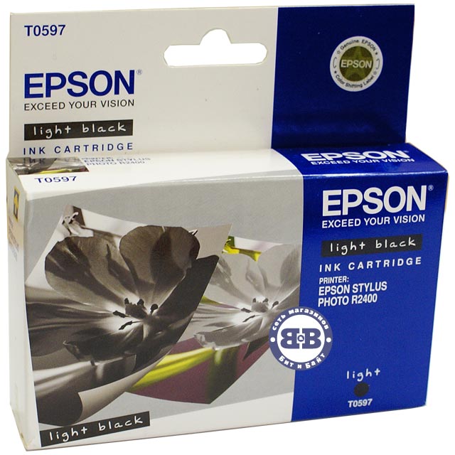 Серый картридж для Epson R2400 C13T059740 T0597 Картинка № 1