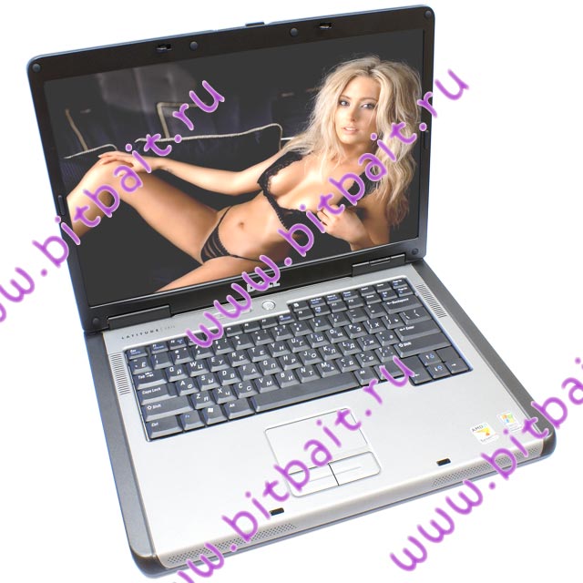 Ноутбук DELL Latitude 131L Turion 64 X2 TL-52 / 1024Mb / 80Gb / DVD±RW / ATI X1150 256Mb / Wi-Fi / 15,4 дюйма / WinXp Home Картинка № 1
