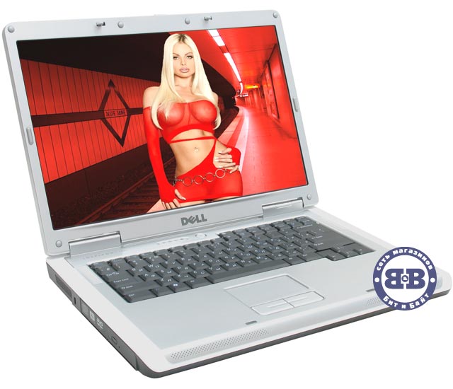 Ноутбук DELL Inspiron 1501 Turion 64 MK-36 / 512Mb / 60Gb / DVD±RW / ATI X1150 256Mb / 15,4 дюйма / MS-DOS Картинка № 1
