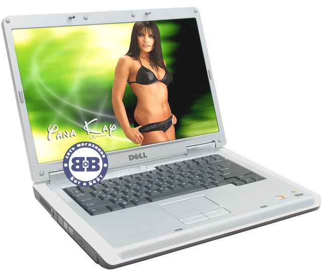 Ноутбук DELL Inspiron 1501 Turion 64 X2 TL-52 / 1024Mb / 120Gb / DVD±RW / ATI X1150 256Mb / Wi-Fi / 15,4 дюйма / WinXp Home Картинка № 1