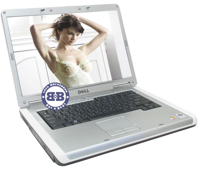 Ноутбук DELL Inspiron 1501 Turion 64 X2 TL-58 / 1024Mb / 160Gb / DVD±RW / ATI X1150 256Mb / Wi-Fi / 15,4 дюйма / WVistaHP Картинка № 1