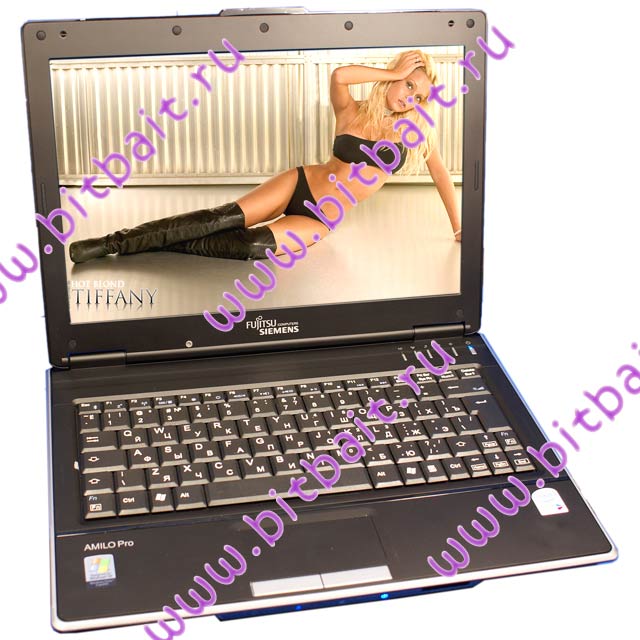 Ноутбук F-S Amilo PRO V3205 T2350 / 1024Mb / 120Gb / DVD±RW / Wi-Fi / BT / 12 дюймов / WVistaHB Картинка № 1