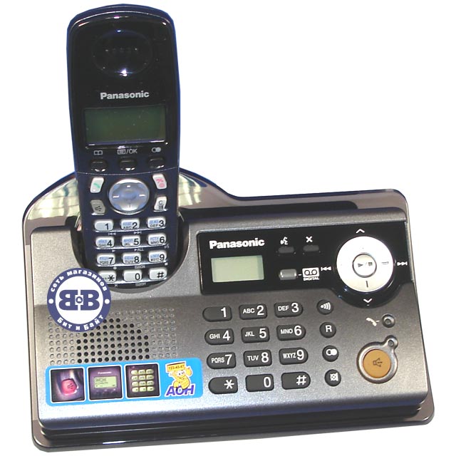 Телефон Panasonic KX-TCD245RUT DECT Titanium 245 Картинка № 1