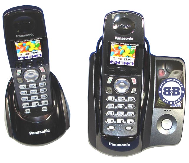 Телефон Panasonic KX-TCD307RUT DECT Titanium 307 Картинка № 1