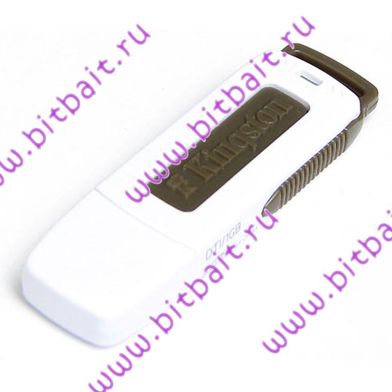 USB Flash RAM 1024Mb USB2.0 Kingston Data Traveler I (DTI/1Gb) Картинка № 1
